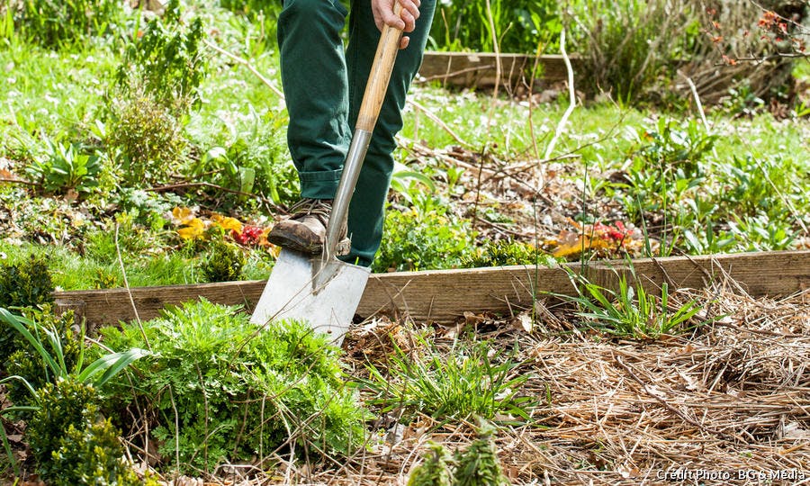 Les étapes essentielles pour bien préparer son potager